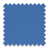 Bruin Blue