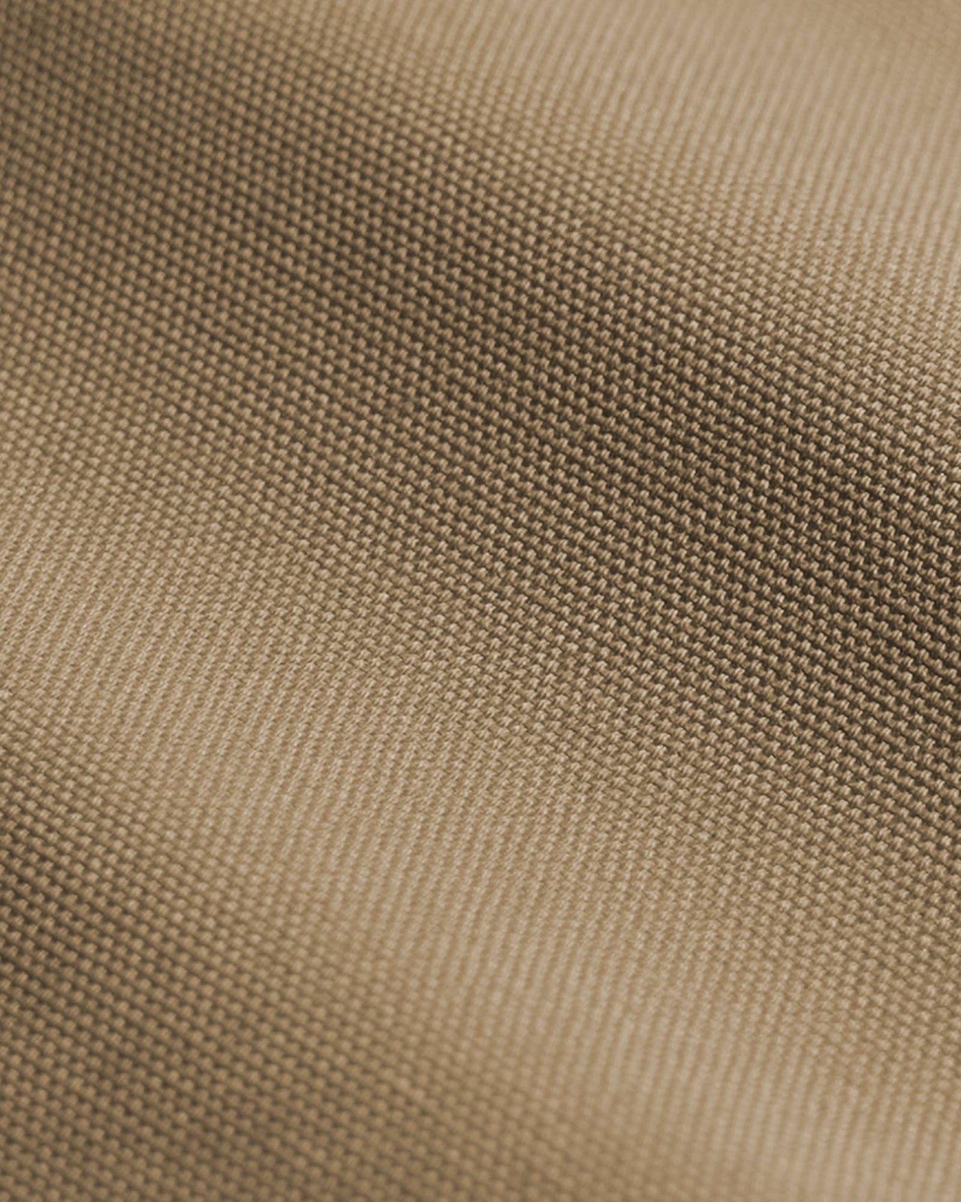 Cotton Canvas