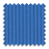 Bruin Blue