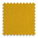 Athletic Gold