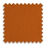 Burnt Orange