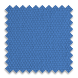 Bruin Blue