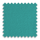 Aqua