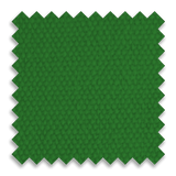 Kelly Green