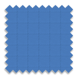 Bruin Blue