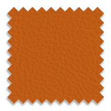 Burnt Orange