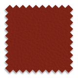 Cardinal