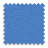 Bruin Blue