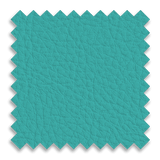 Aqua