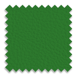 Kelly Green