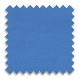 Bruin Blue