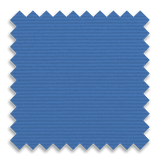 Bruin Blue
