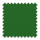 Kelly Green