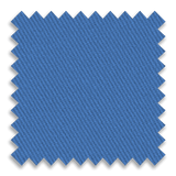 Bruin Blue