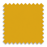 Athletic Gold