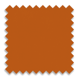 Burnt Orange
