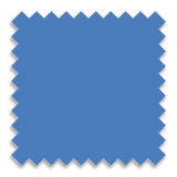 Bruin Blue