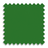 Kelly Green