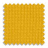 Athletic Gold