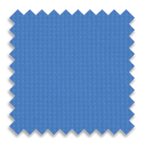 Bruin Blue