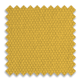 Athletic Gold