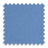 Bruin Blue