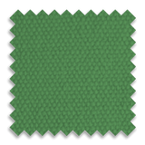 Kelly Green